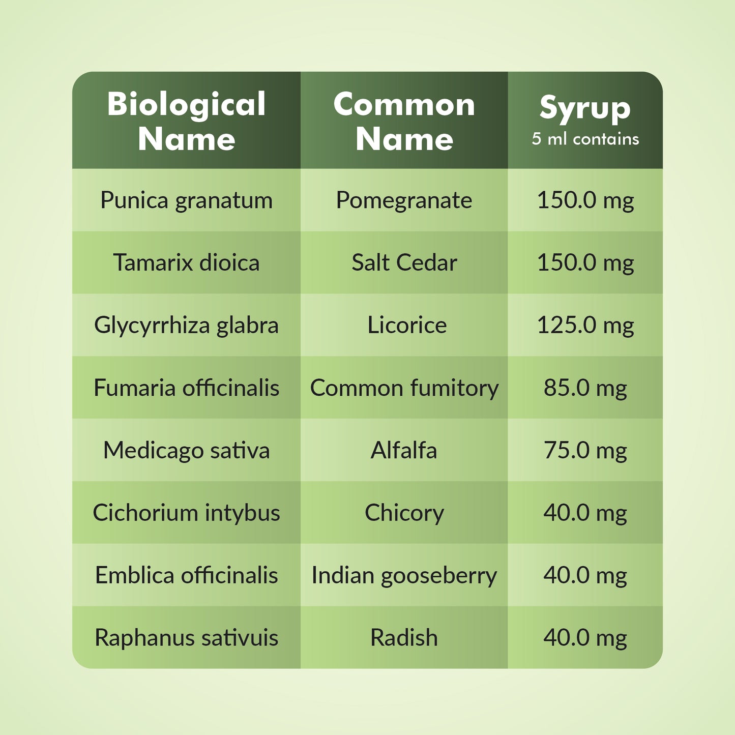 Epigro Syrup Details