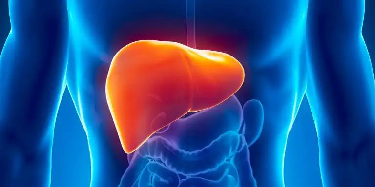 How to improve liver health and its detoxification?