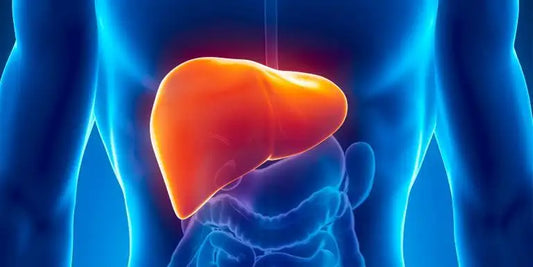 How to improve liver health and its detoxification?
