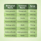 Epigro Syrup Details