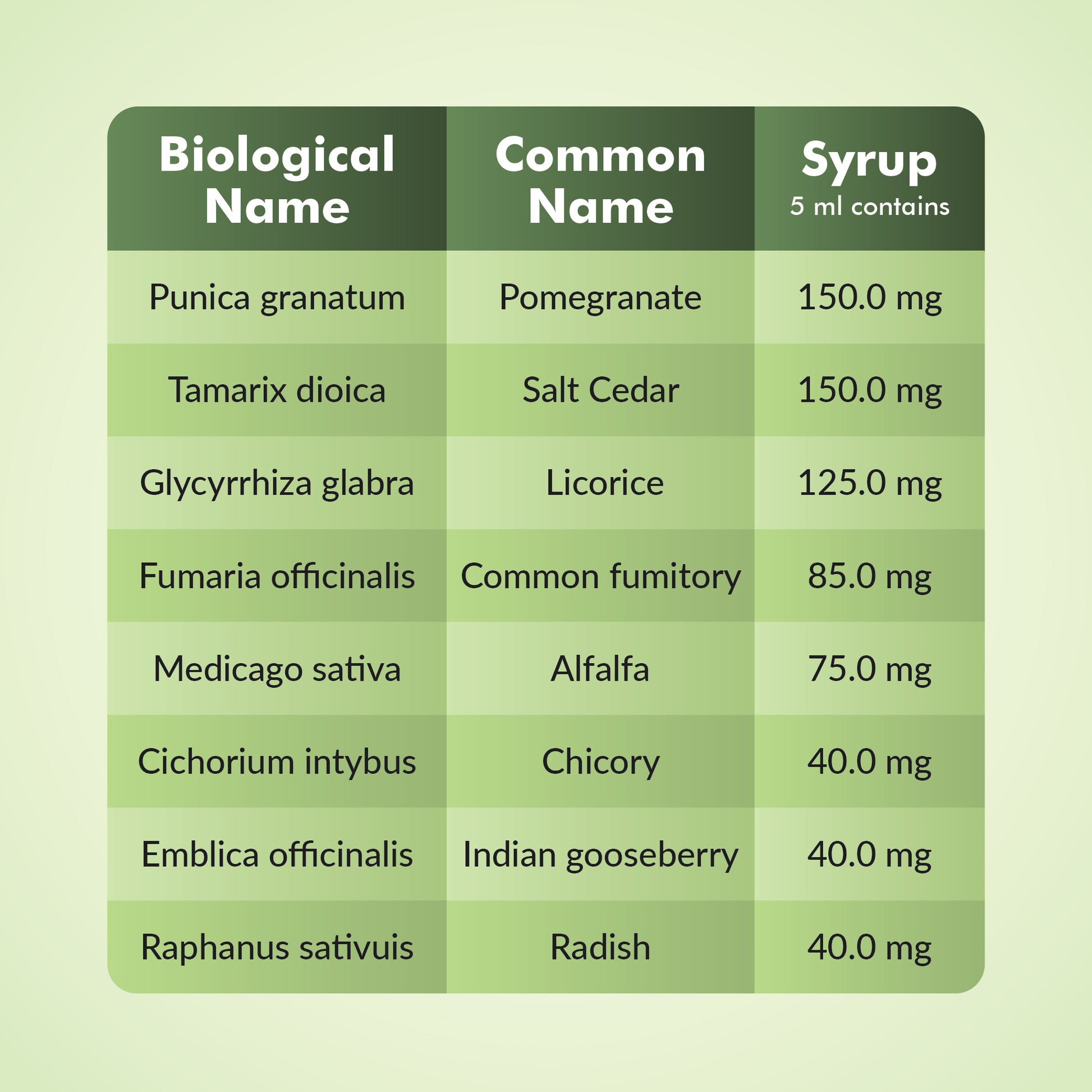 Epigro Syrup Details