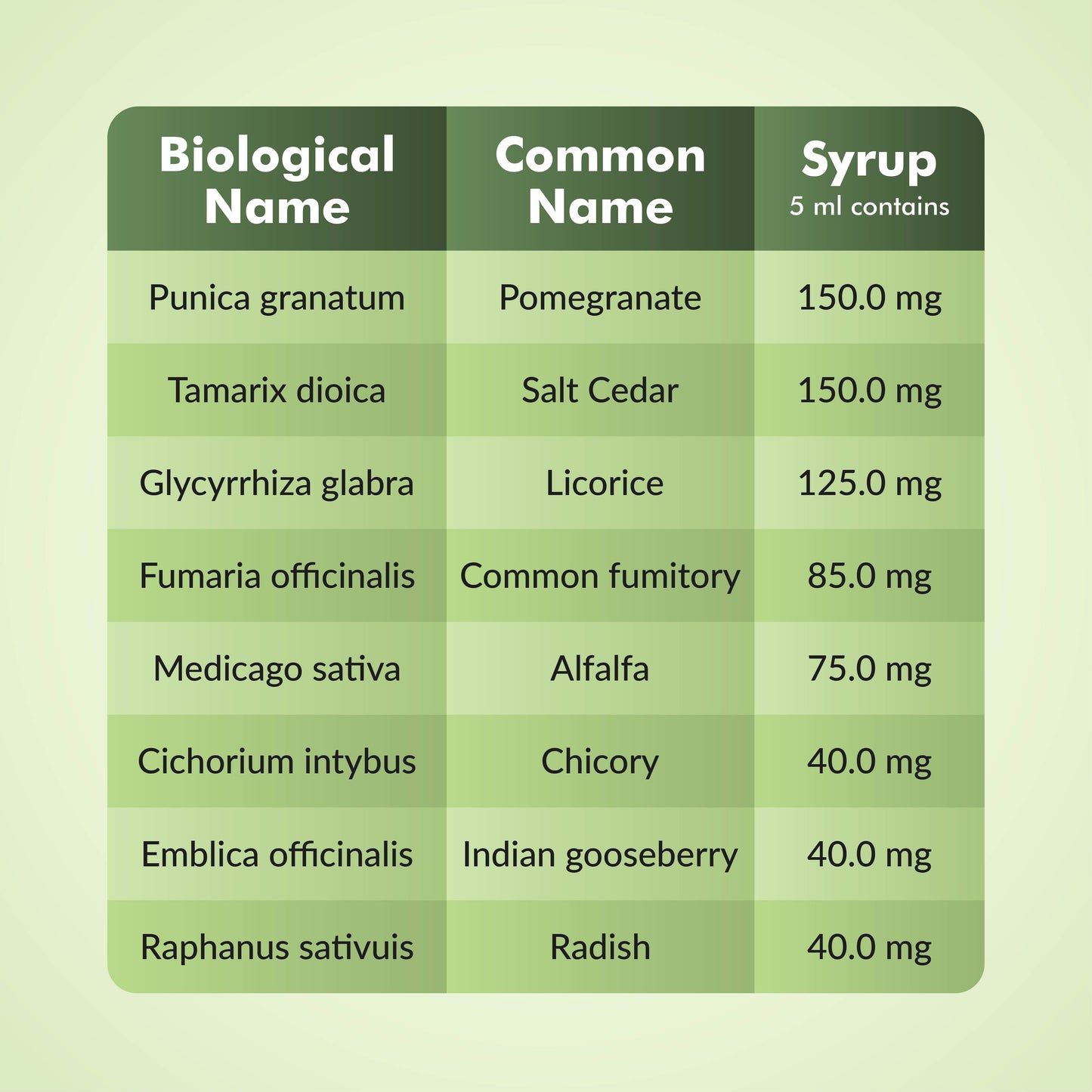 Epigro Syrup