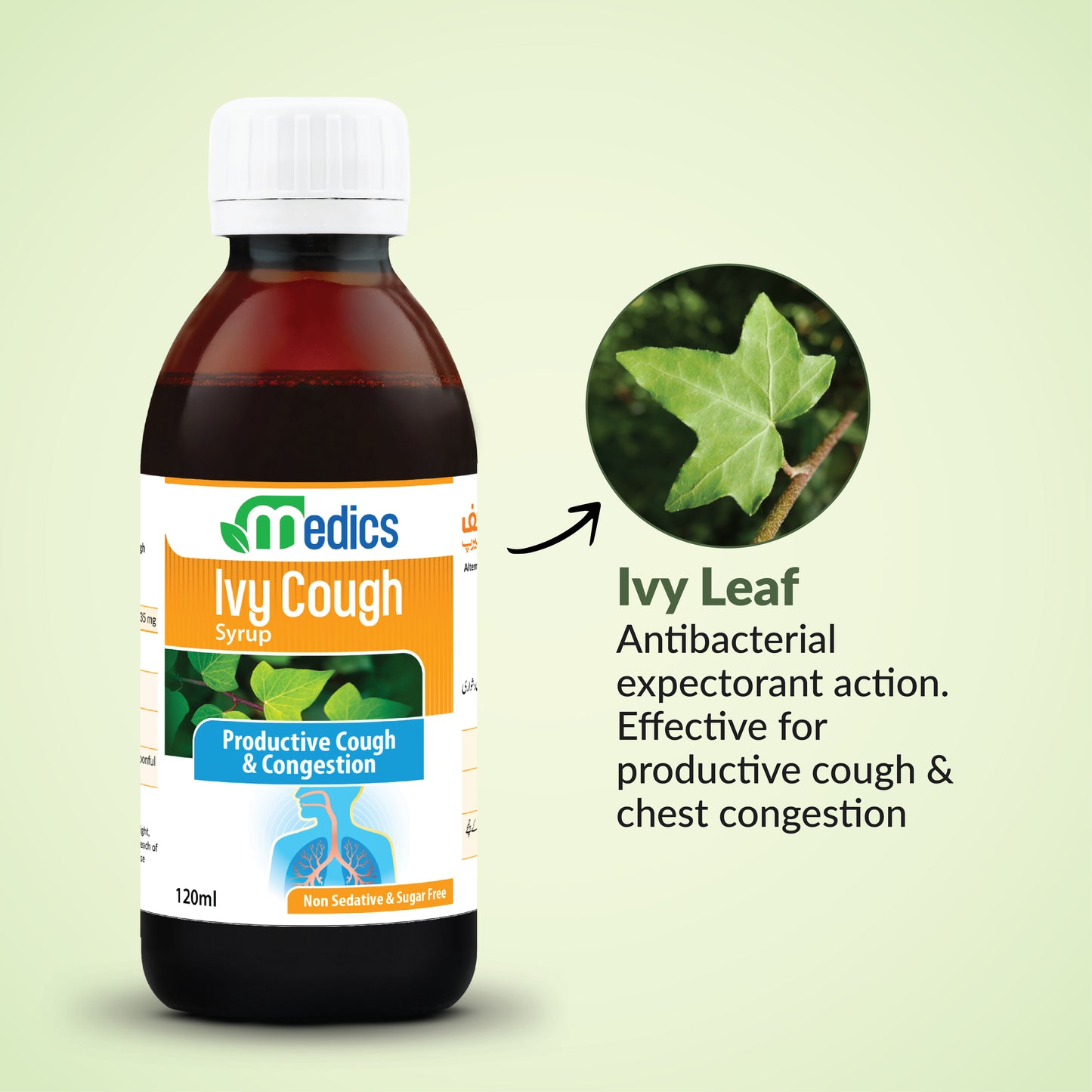 Ivy Cough Syrup