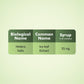 Ivy Cough Syrup
